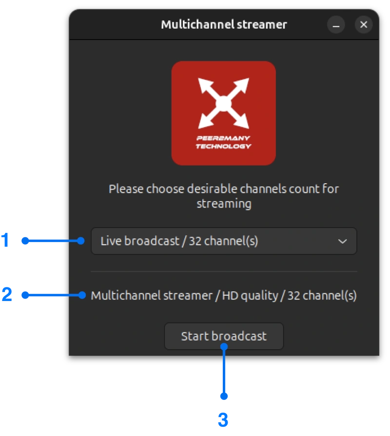 Multichannel streamer setup window for Linux screen mirroring