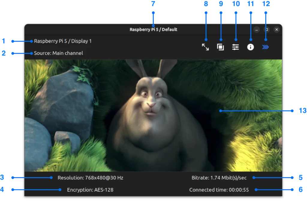 Playback window in streaming state for Linux screen mirroring