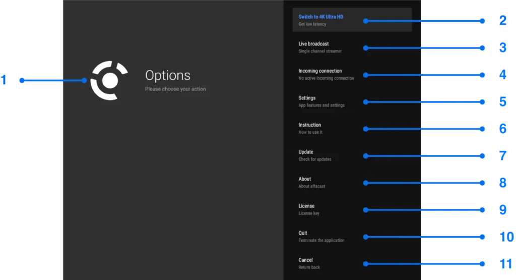Android TV screen mirroring options window