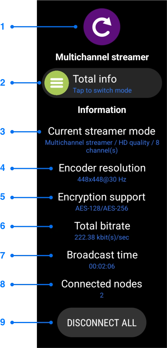 Total channels information window for Wear OS screen mirroring
