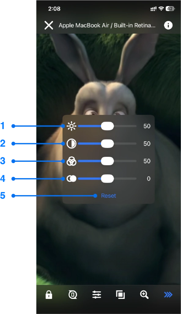 Picture adjustments window for iPhone screen mirroring