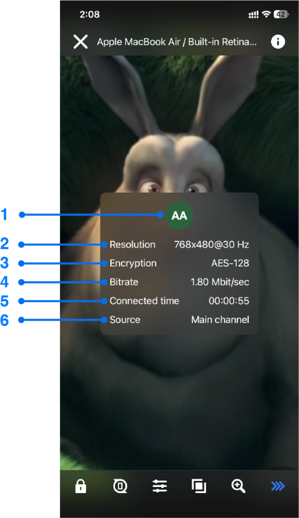 Streaming info window for iPhone screen mirroring