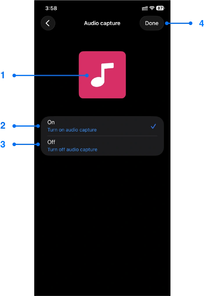 Audio capture settings window for iPhone screen mirroring