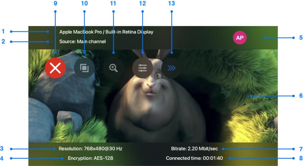 Playback window in streaming state for Apple TV screen mirroring