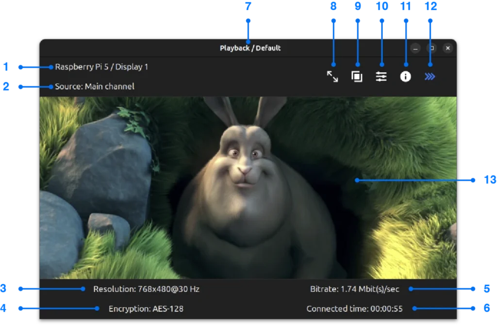 Playback window in streaming state for Linux screen mirroring